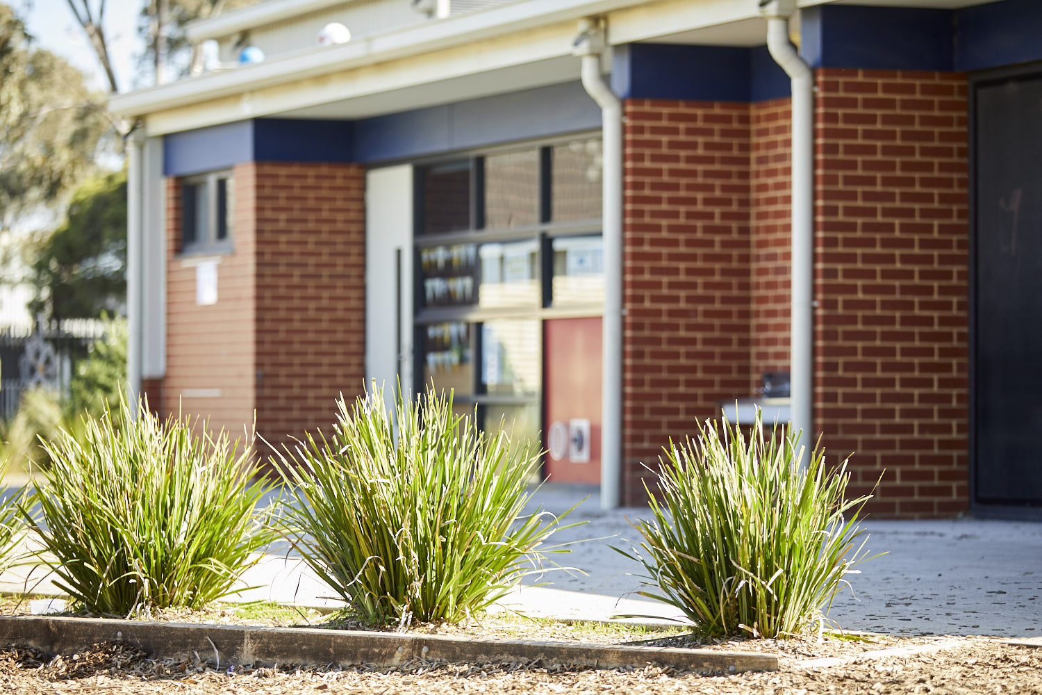 Image of school grounds