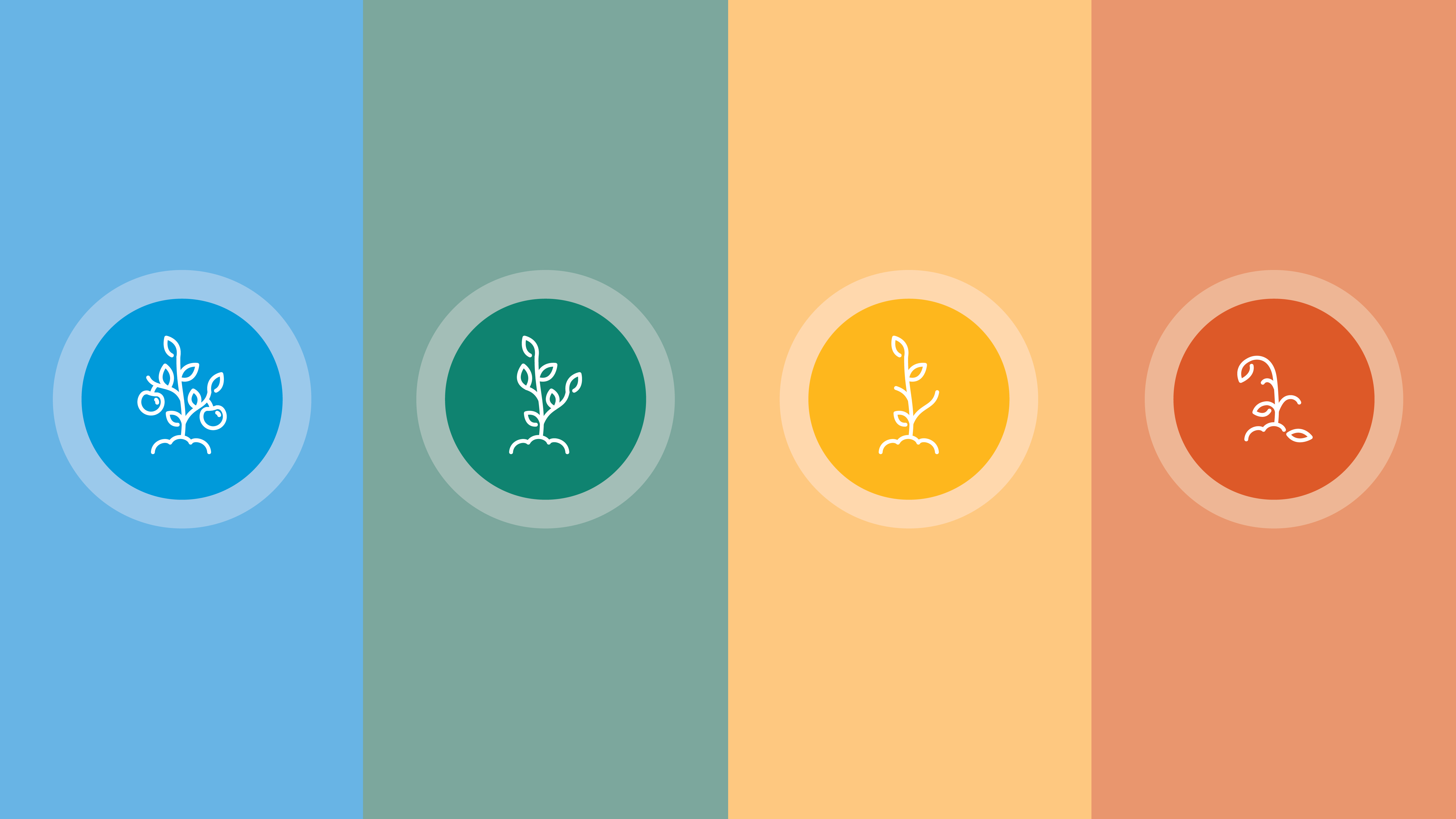 Four vertical panels in blue, green, yellow, and orange, each with a white floral emblem in the center.