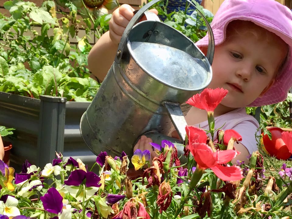 A young child watering plants