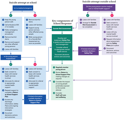 This flowchart details the school's response to suicide attempts by students, either at school or outside school. It begins by asking if the incident is a medical emergency. If yes, actions include keeping the student safe, calling emergency services, following emergency procedures, removing harmful items, supporting affected students, and liaising with families. It then asks if the student is hospitalized, leading to liaising with families, seeking consent to liaise with mental health services, advocating for referrals, and requesting support plans. If the incident is not an emergency, steps involve removing harmful items, supporting affected students, and referring the student for a Suicide Risk Assessment. The flowchart highlights key components of the school response: conducting a Suicide Risk Assessment, developing and implementing a Safety Plan, considering referrals, documenting actions, regularly monitoring the student, reviewing the support plan, considering the impact on others, and ensuring staff well-being. For suicide attempts outside school, the chart checks if the student received medical or mental health support. If yes, actions include liaising with families and arranging for a risk assessment. If no, it involves liaising with families, seeking consent to communicate with mental health services, and developing a safety plan if information is limited. Throughout, the chart emphasizes the importance of documenting decisions and outcomes.